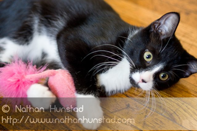 Misha_2008-08-06_IMG_0987